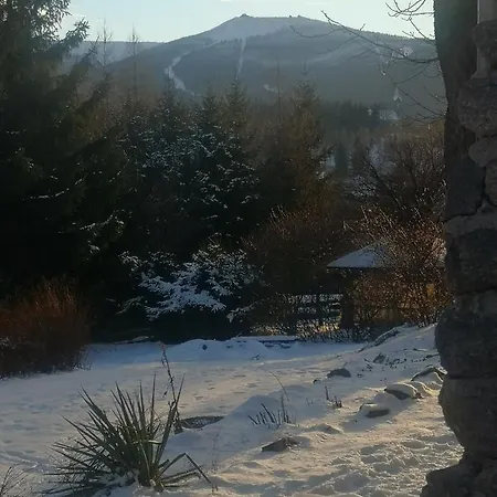 Szamanowka