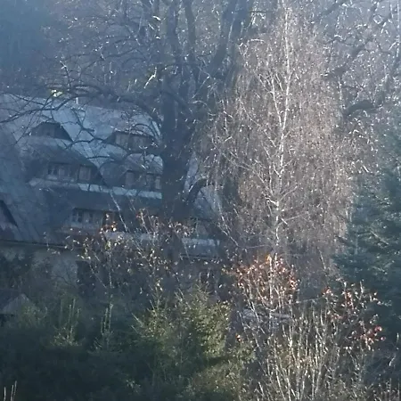 Szamanowka Guest house
