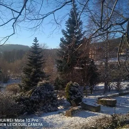 Szamanowka Guest house *