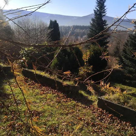 Szamanowka Guest house